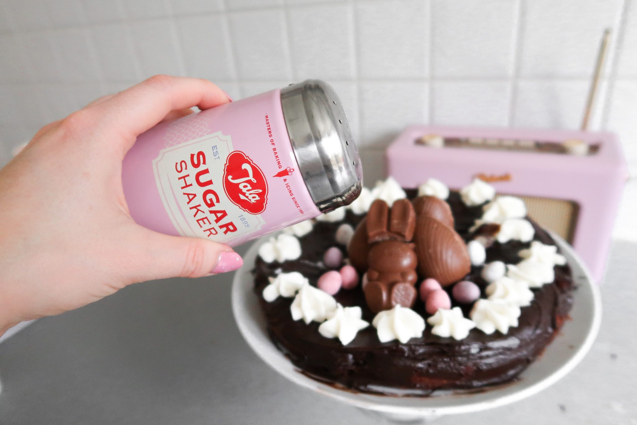 Read more about the article Baking With Tala | Chocolate Easter Cake Recipe